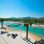 Dodig